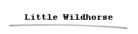 Little Wildhorse