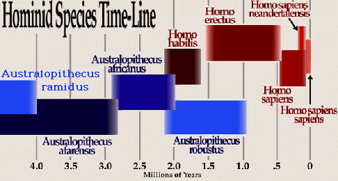 timeline.jpg (58667 bytes)