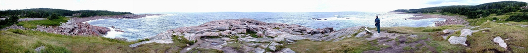 WaveWalk2_small.jpg (127773 bytes)