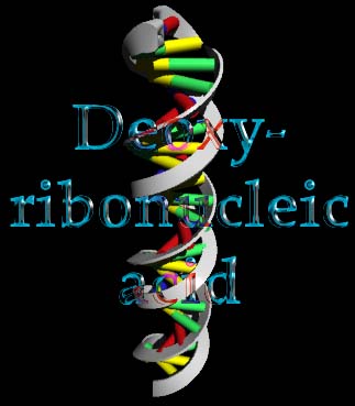 dna.jpg (18457 bytes)